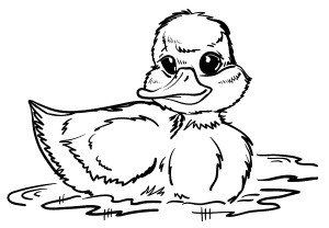 Доски для выжигания "Утенок и Кот-рыболов", 2 шт. 01774ДК - интернет-магазин игрушек Minsktoys.by