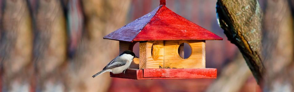 Делаем кормушку